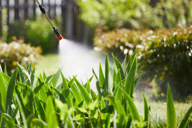 Tamper-Resistant Bait Stations for Rodents in East Gaffney