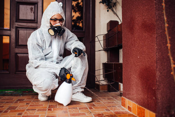 Attic and Crawl Space Rodent Treatment in East Gaffney
